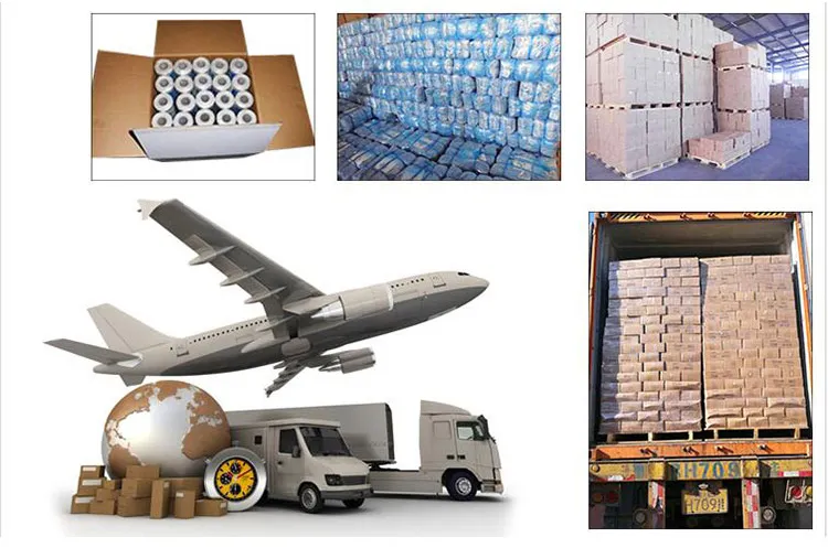 Biodegradable Plastic Garbage Bags Biodegradable Plastic Garbage Bag Biodegradable Plastic Garbage Bags Compostable Trash Bags