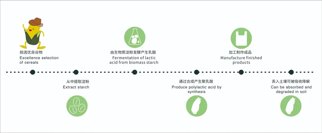 Custom Biodegradable Star Seal Trash Bag on Roll Bioplastic Garbage Bag, Bin Liner