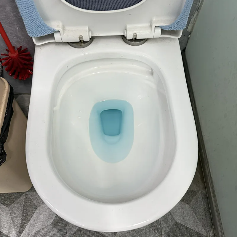 Latrine Block Cleaner