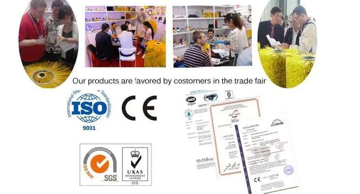 Long Handle 100% Boar Bristle Mens Curved Beard Brush