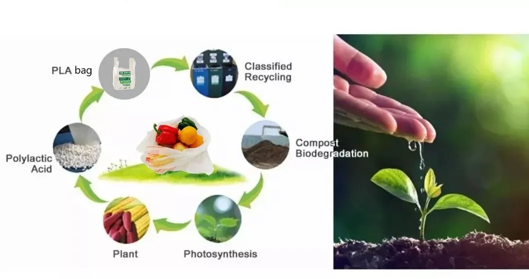 New Plastic Trash Bag Compostable Garbage Bag Biodegradable Bags Cornstarch