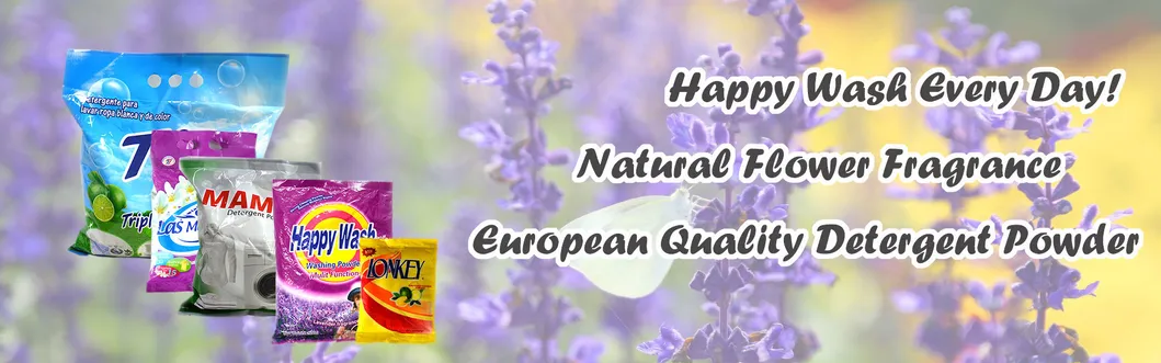 Wholesale 30gram-50kg Detergent Powder, OEM Actives Powder Detergent Household Washing Powder Detergente En Polvo