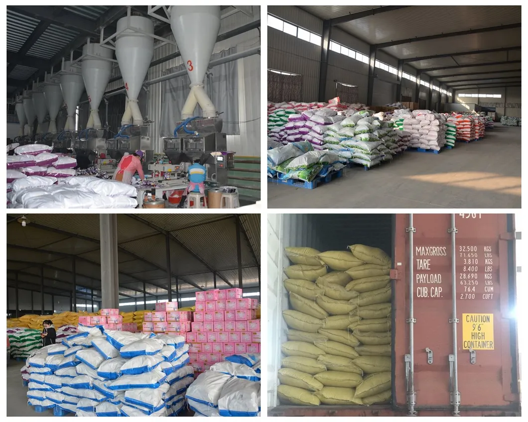 Wholesale 30gram-50kg Detergent Powder, OEM Actives Powder Detergent Household Washing Powder Detergente En Polvo