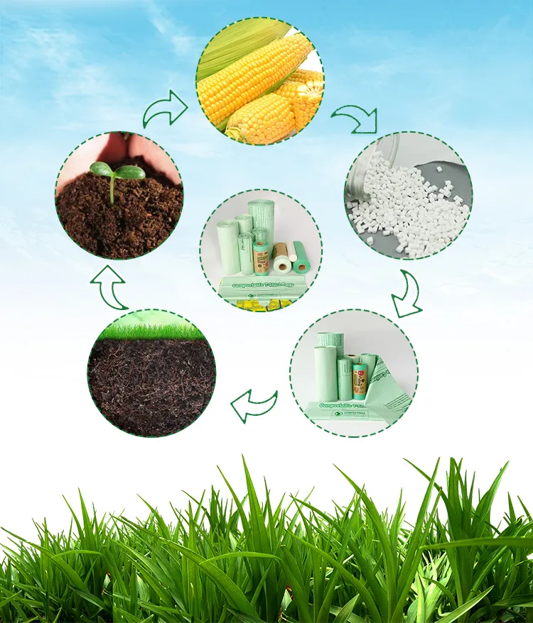 Wholesale Cornstarch Based Eco Friendly Compostable Biodegradable Trash Bags